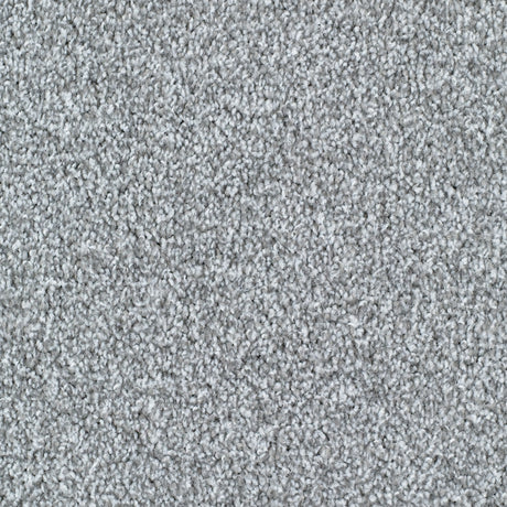 Seaford Carpet