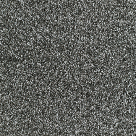 Seaford Carpet