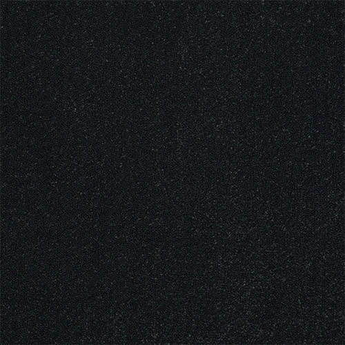 Stainfree Captivation - Black Raven