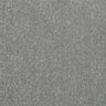 Stainfree Captivation - Frosted Steel