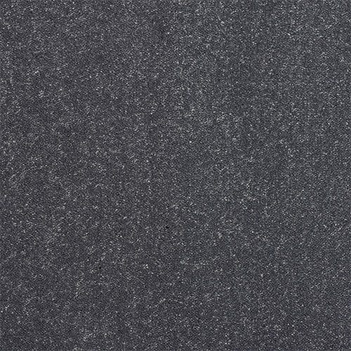 Stainfree Captivation - Sapphire