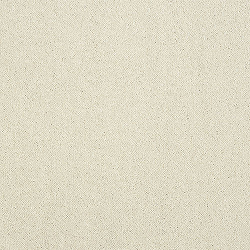 Stainfree Captivation - Snowfall