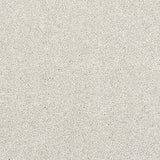 Stainfree Caress - Champagne