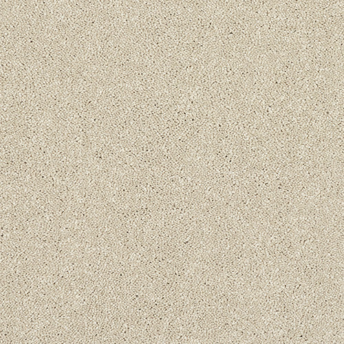 Stainfree Caress - Cotton