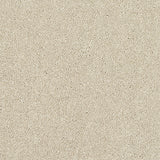 Stainfree Caress - Cotton