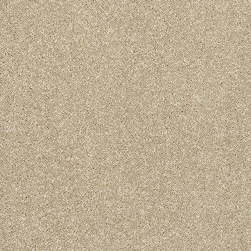 Stainfree Caress - Latte