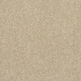 Stainfree Caress - Latte