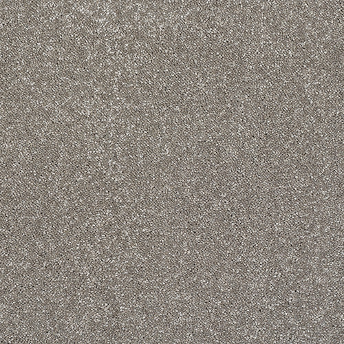 Stainfree Caress - Mocha