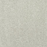 Stainfree Caress - Suede