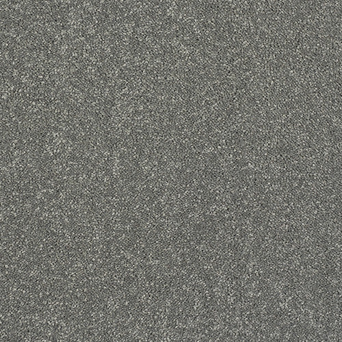 Stainfree Caress - Titanium