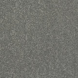 Stainfree Caress - Titanium