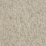 Stainfree Country Weave - Berber