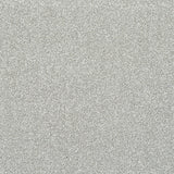 Stainfree Finesse - Silver