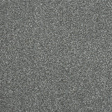Stainfree Maximus - Fossil