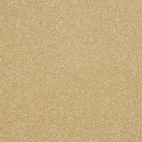 Stainfree Maximus - Honey Gold
