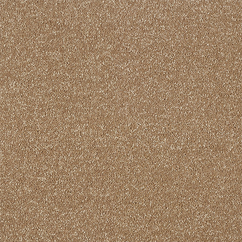 Stainfree Maximus - Mocha