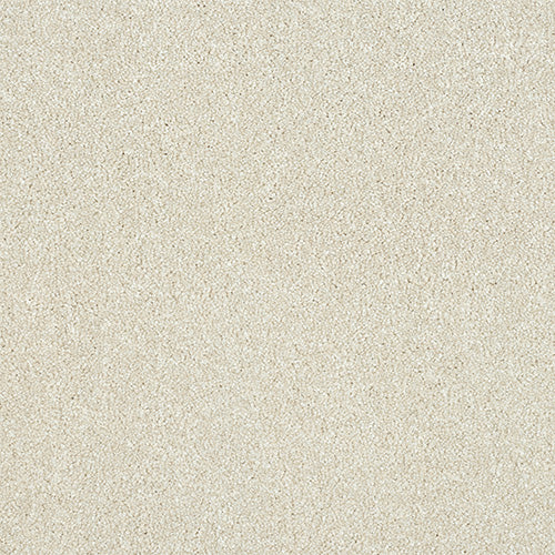 Stainfree Maximus - Stone Wite