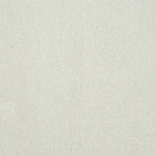 Stainfree Pure Elegance - Nimbus Cloud