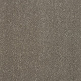Stainfree Pure Elegance - Seneca Rock