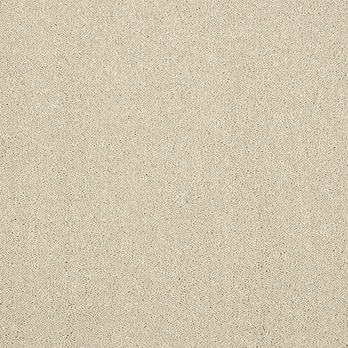 Stainfree Pure Elegance - Turtle Dove