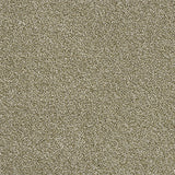 Stainfree Rustique Ultra - Sedge