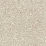 Stainfree Satin Touch - Calico