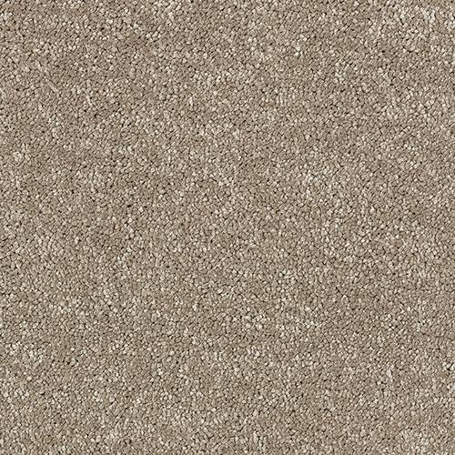 Stainfree Satin Touch - Cashmere