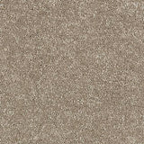 Stainfree Satin Touch - Cashmere
