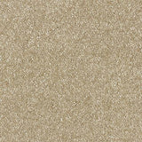 Stainfree Satin Touch - Chenille