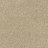 Stainfree Satin Touch - Chenille