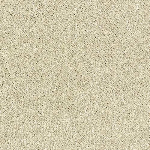 Stainfree Satin Touch - Cotton