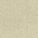 Stainfree Satin Touch - Cotton