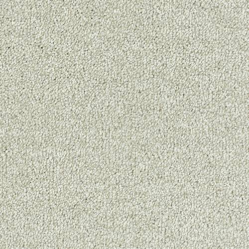 Stainfree Sophisticat - Champagne