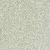 Stainfree Sophisticat - Champagne
