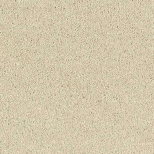 Stainfree Sophisticat - Cotton