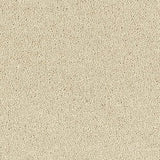 Stainfree Sophisticat - Cotton