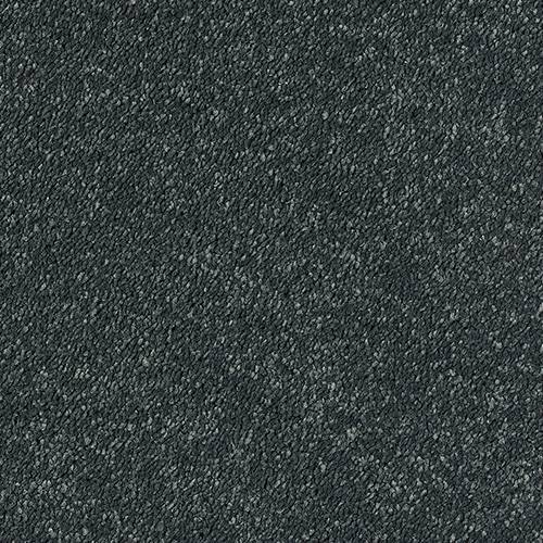 Stainfree Sophisticat - Ebony