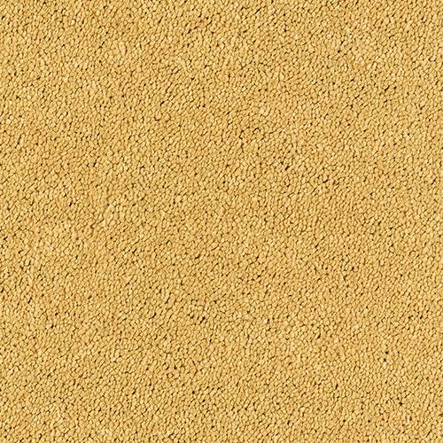 Stainfree Sophisticat - Gold