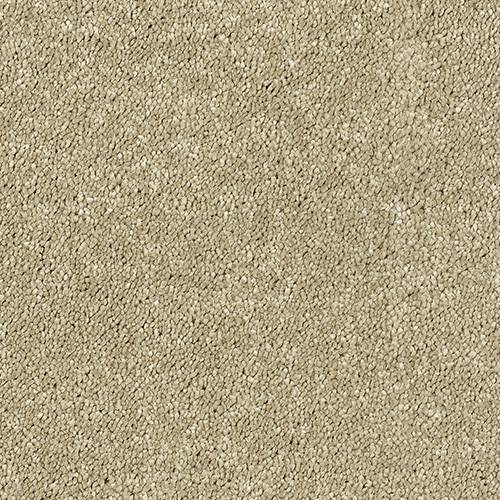 Stainfree Sophisticat - Latte