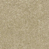 Stainfree Sophisticat - Latte