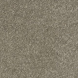 Stainfree Sophisticat - Mocha