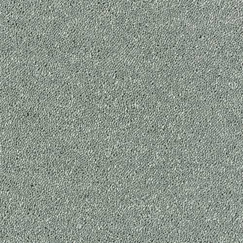 Stainfree Sophisticat - Platinum