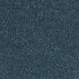 Stainfree Sophisticat - Sapphire