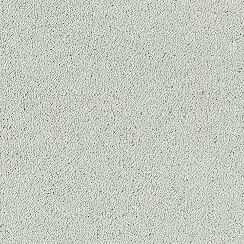 Stainfree Sophisticat - Silk