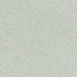 Stainfree Sophisticat - Silk