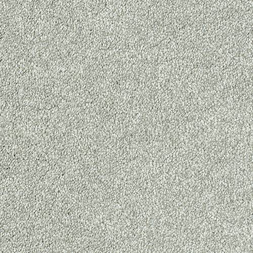 Stainfree Sophisticat - Silver