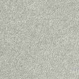 Stainfree Sophisticat - Silver