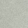 Stainfree Sophisticat - Silver
