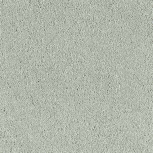 Stainfree Sophisticat - Suede