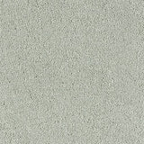 Stainfree Sophisticat - Suede
